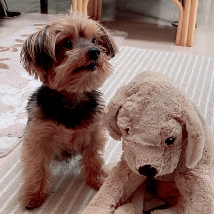 A6916da8 2823 4d8a a92c 31f2c4006133 1608007595909