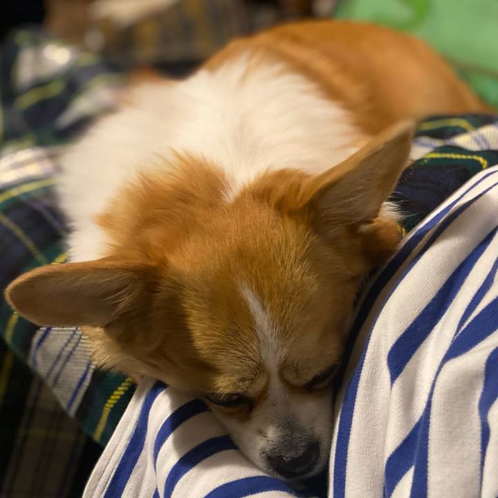 A69190fa 8e06 4a35 b650 bb68c21049fd 1763810252716