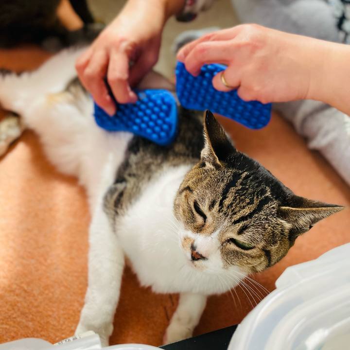 A691bc82 8ccd 48ba adda 84a3d6d428b4 1615168437722