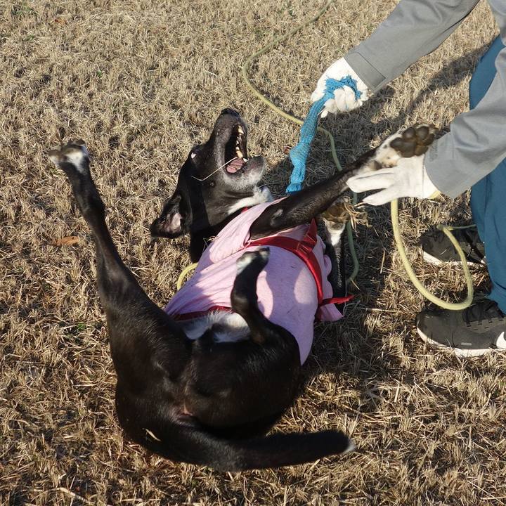 A691c399 9538 48b0 a8c6 ed054b75a585 1671067595680