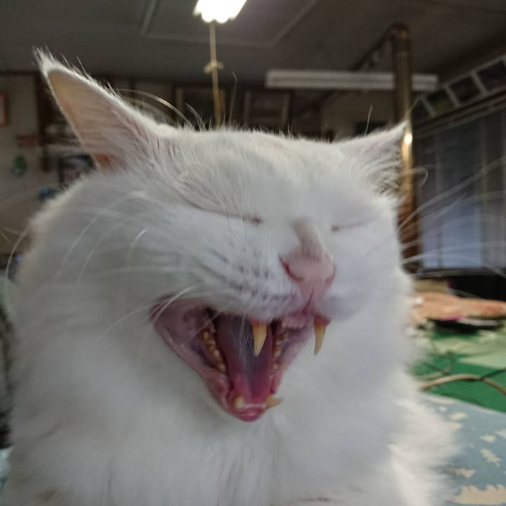 A691c891 295b 47b7 bb9d 8f43d5ac3597 1567376706903