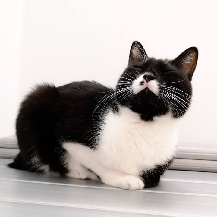 A691cc7b c7de 4fa3 98d6 691f1b21e414 1576334627554