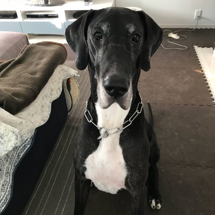 A691de7b 1530 4935 bb2d 4ce82c69a33b 1509058230036