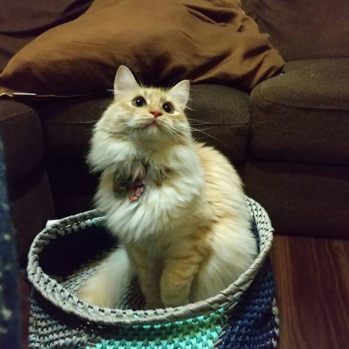 A6920f40 c945 4dae b3b4 d6983be81202 1647697679178