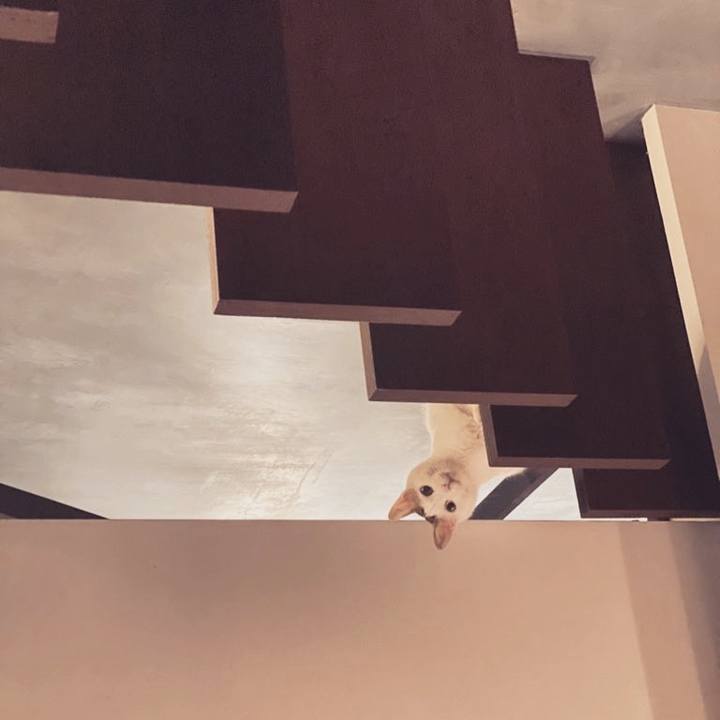 A6926e21 9553 4a87 b3f0 37c012263390 1619616499353