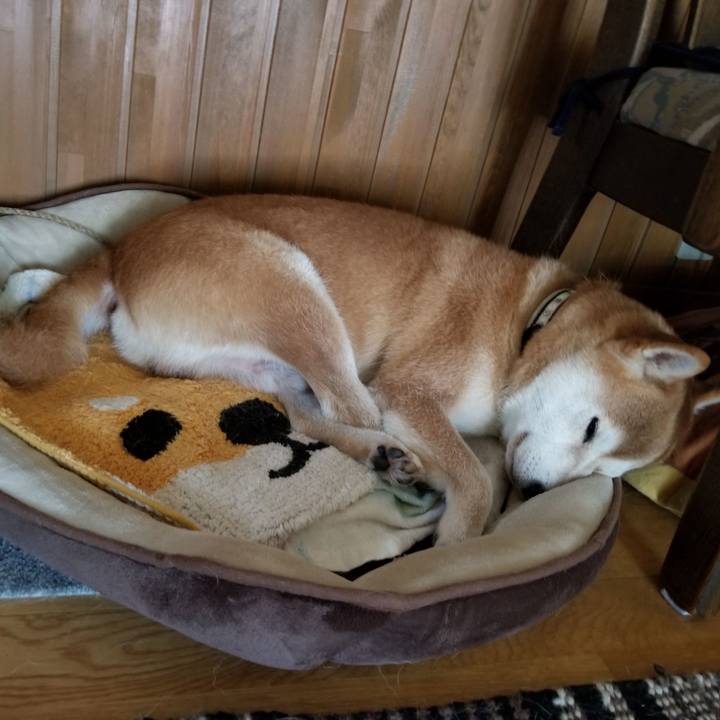 A6927cd4 9b4c 4091 9eef cb9a13bd7eb0 1597636984370