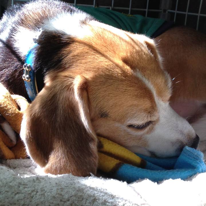 A692ba15 aa4a 4056 8a09 4336eaf76a68 1729045742885