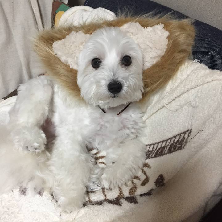 A692d797 78d3 49e6 aefd 2765364d3ccc 1536733938396