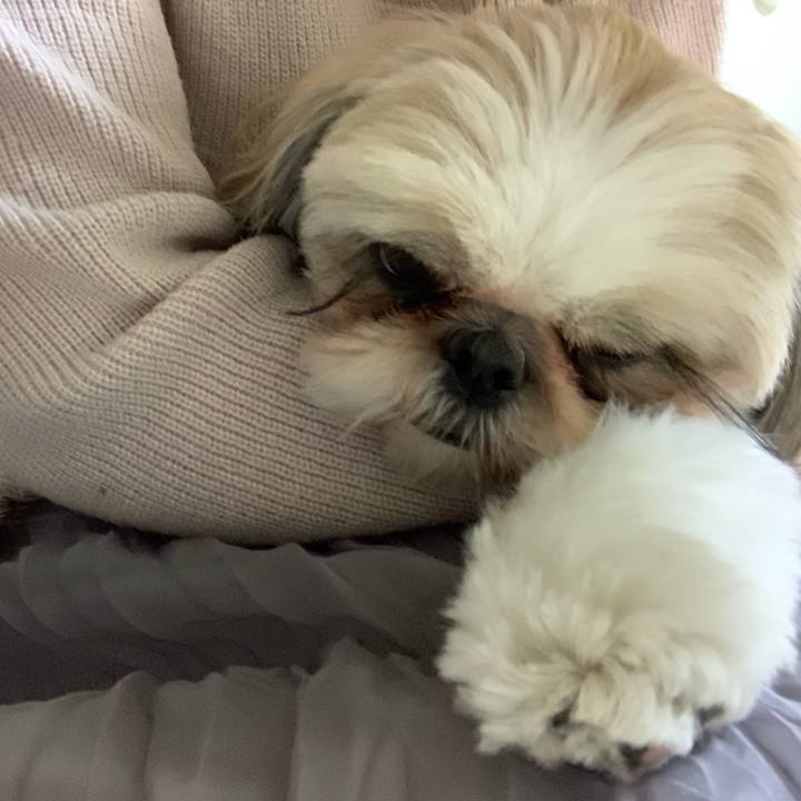 A693196f a640 4128 8f18 ad28c52c1eb5 1606997877025