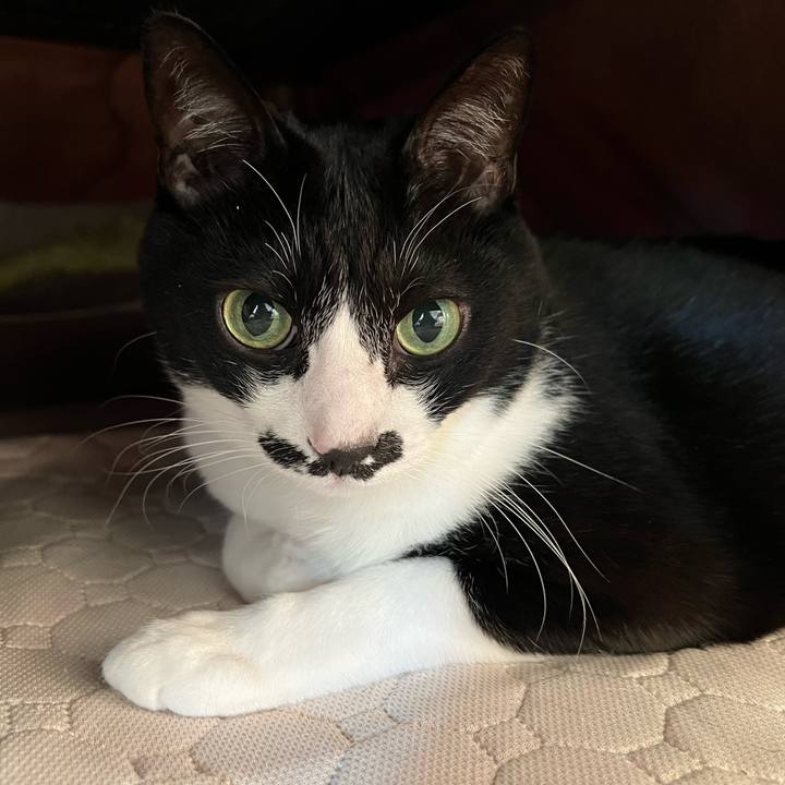 A6933ac9 c716 4c98 927e d143eafabfec 1769121036202