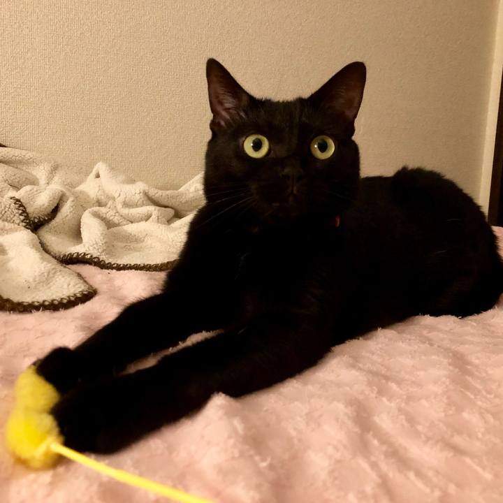 A693403e 8486 429e 9e09 68f2a81f2dc8 1564313458159