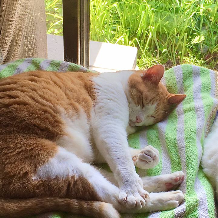 A6934452 fbfd 459b bdb5 7215d891bc46 1622181745045