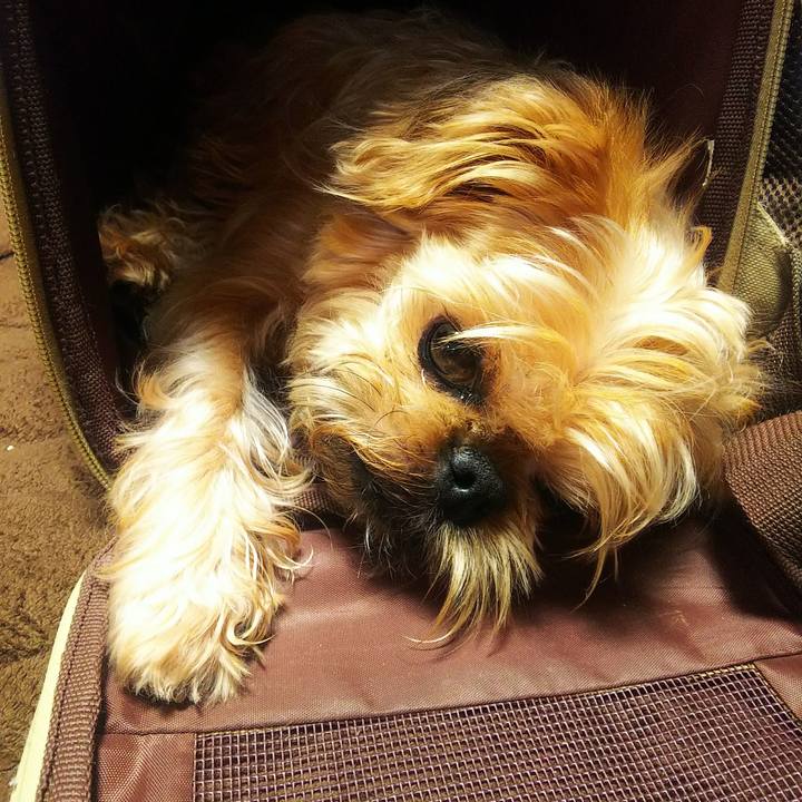 A6937ae1 c2f7 4eef 82d6 c1211a96eac1 1592630216590