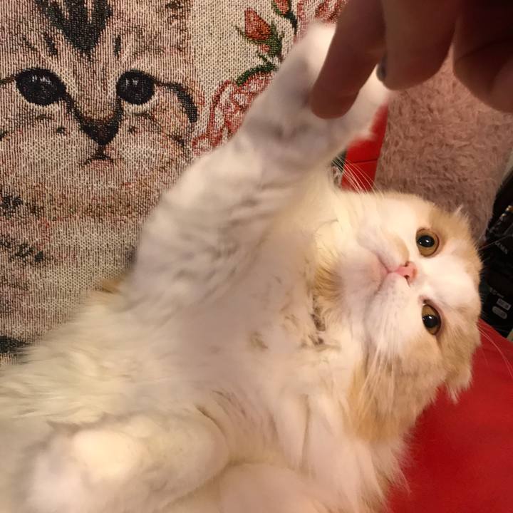 A6939404 aa5e 486f a0bc 890af93a9325 1518951293447