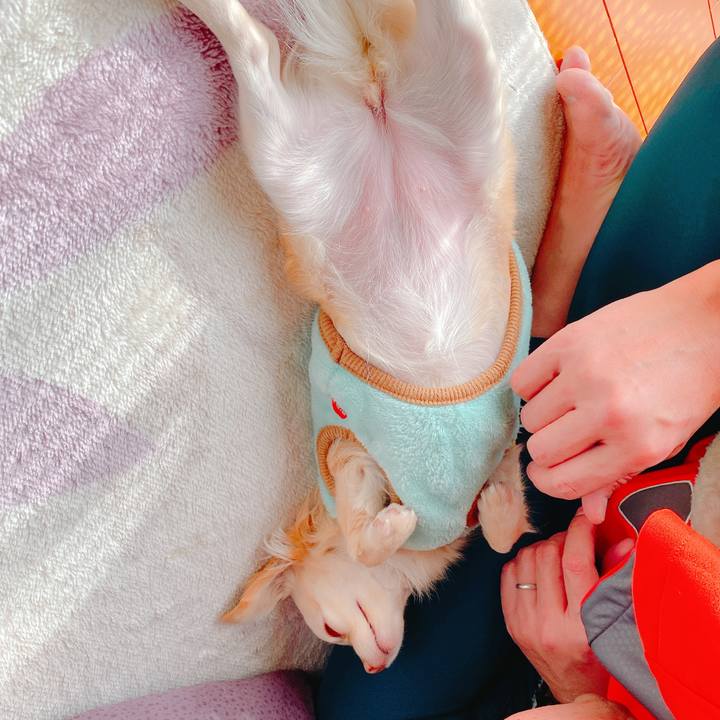 A6939ad8 e1e9 4aaa af6a e4b56cdb6152 1641532113541