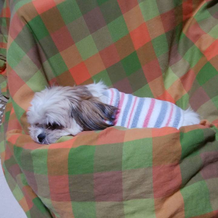 A693ad54 8d27 4934 a0d3 54f8f68a10f0 1512824609512