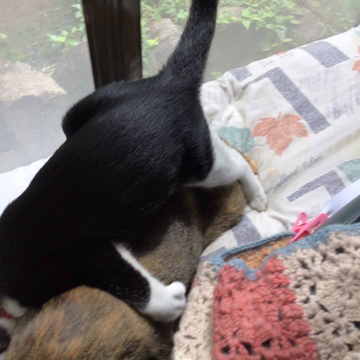 A693c155 10f1 4ad8 a150 6b68dca5b5d7 1629079446905