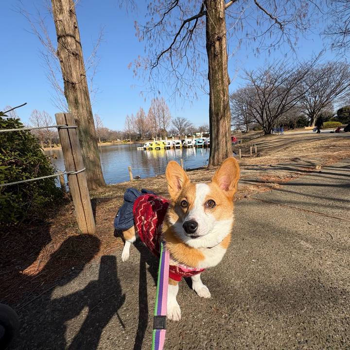 A69406fc 7ecd 4f63 89cc 8b56ef9a7d63 1768708758099