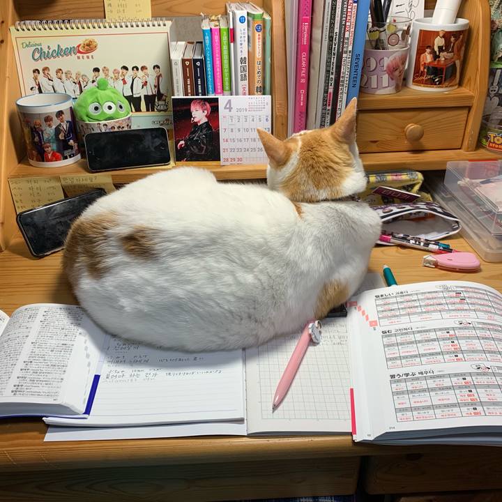 A6945edd 5d4c 499a afae 2a159f536d2c 1555172606256