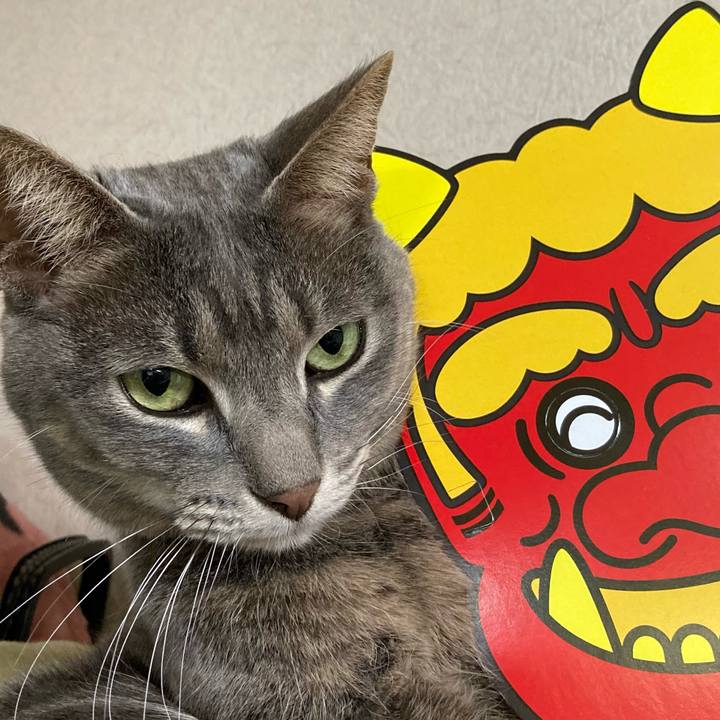 A6946950 9e98 4d1b b555 01b1a6545a59 1612266887100