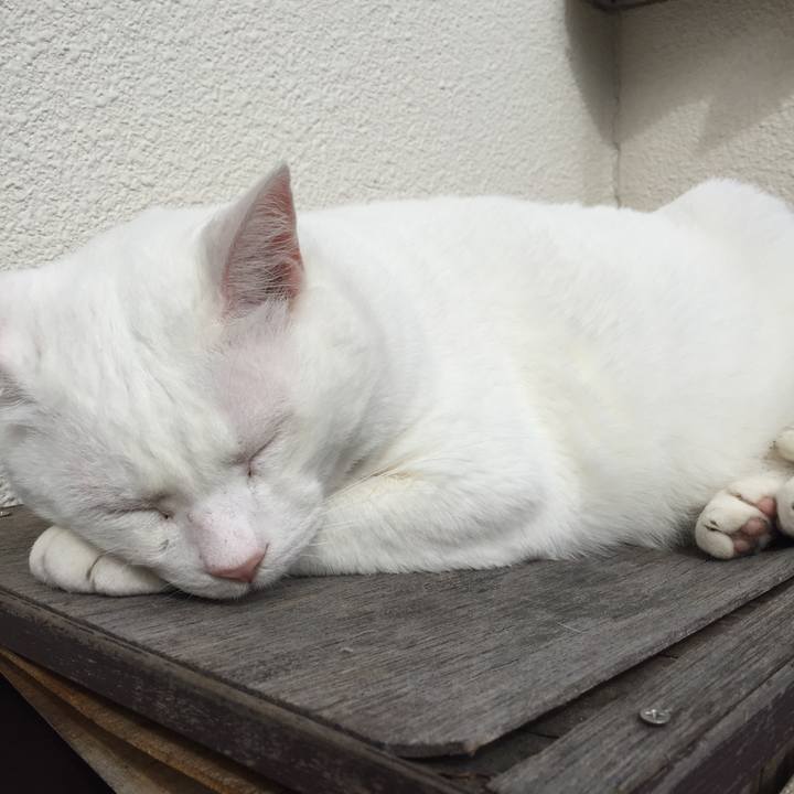 A69489b7 1b95 41d9 83ed 12dde43f4078 1509501943667