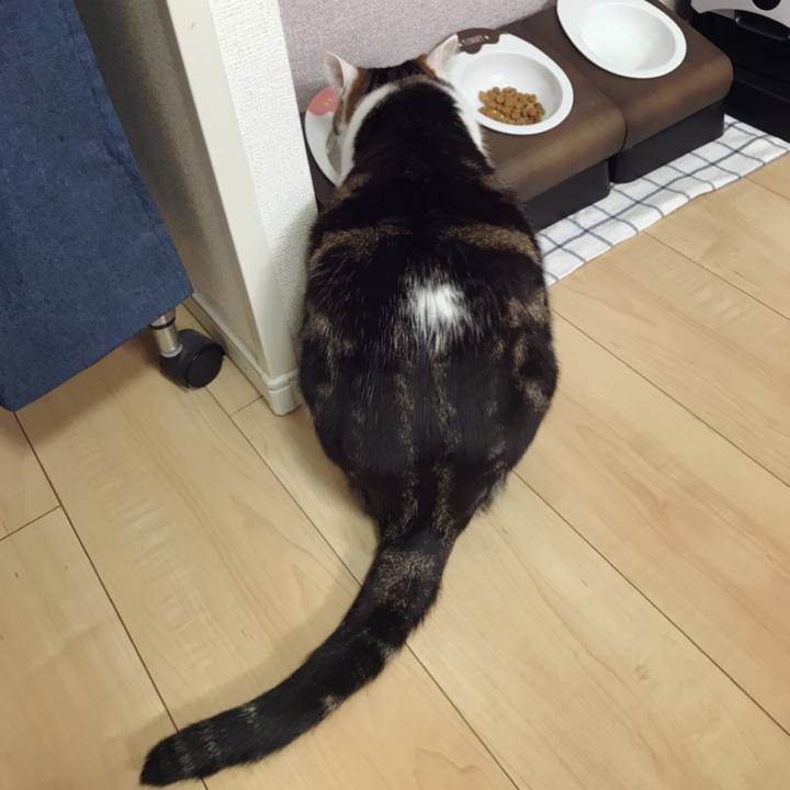 A694934a 45d8 451d 9e85 448ec9c89bc8 1585451176896