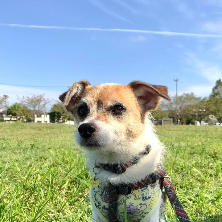 A6949da4 fe3a 46d4 9ee1 92da07a5234c 1602031209729