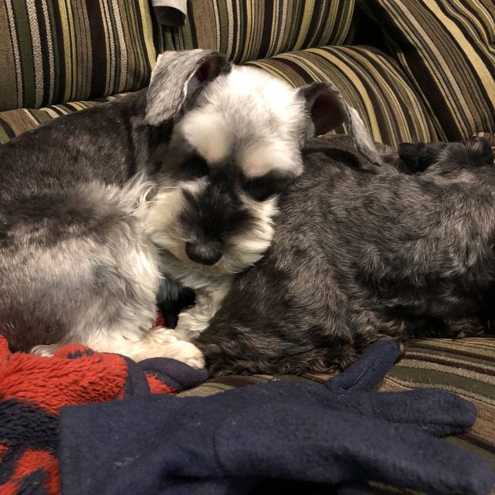 A694cd48 5871 434c bb15 f66028ea6944 1520942300490