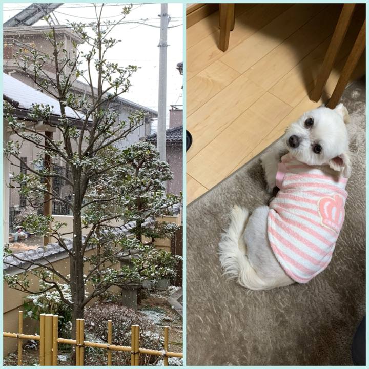 A694cea4 c487 4b6a 8009 30316c8e0fc4 1612866575311