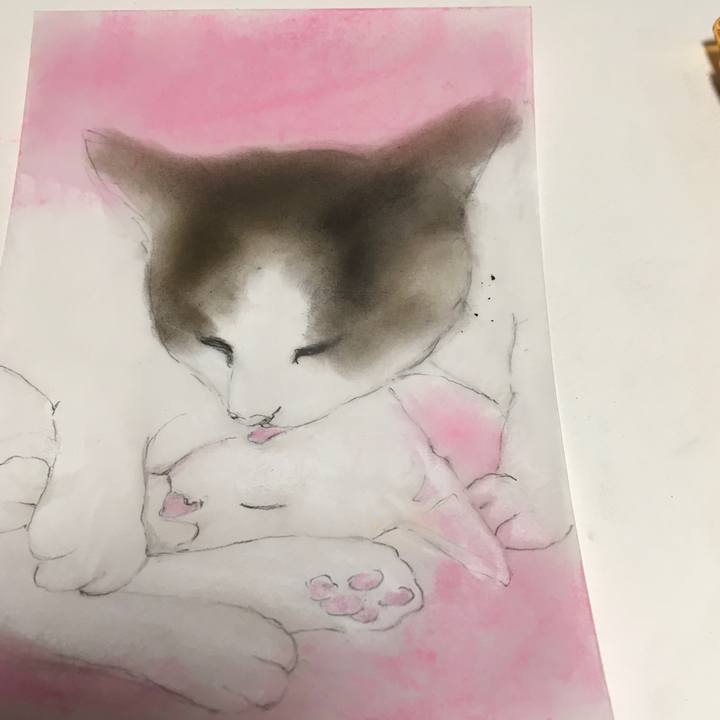 A695078b 6755 4e76 b2ee cba6f8e6ebe6 1579534521918