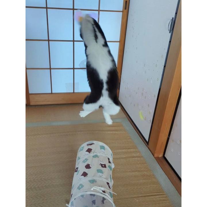 A69508c3 3729 4e00 acb6 ce844f0854b4 1705291524921