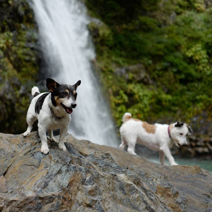 A6951cd3 87d5 4a03 8120 8be73a5cb850 1538996689891