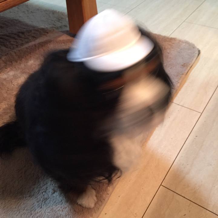 A6953410 d33f 4167 bc4a 16eeaa7e2c9f 1523885070167