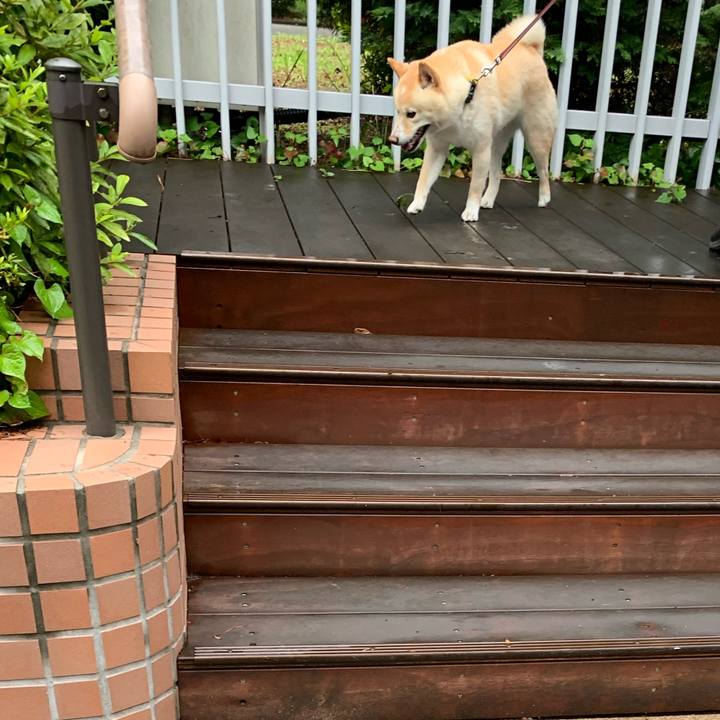 A6956464 beb7 4c8b 8aeb 47d0f889fbb8 1655941338293