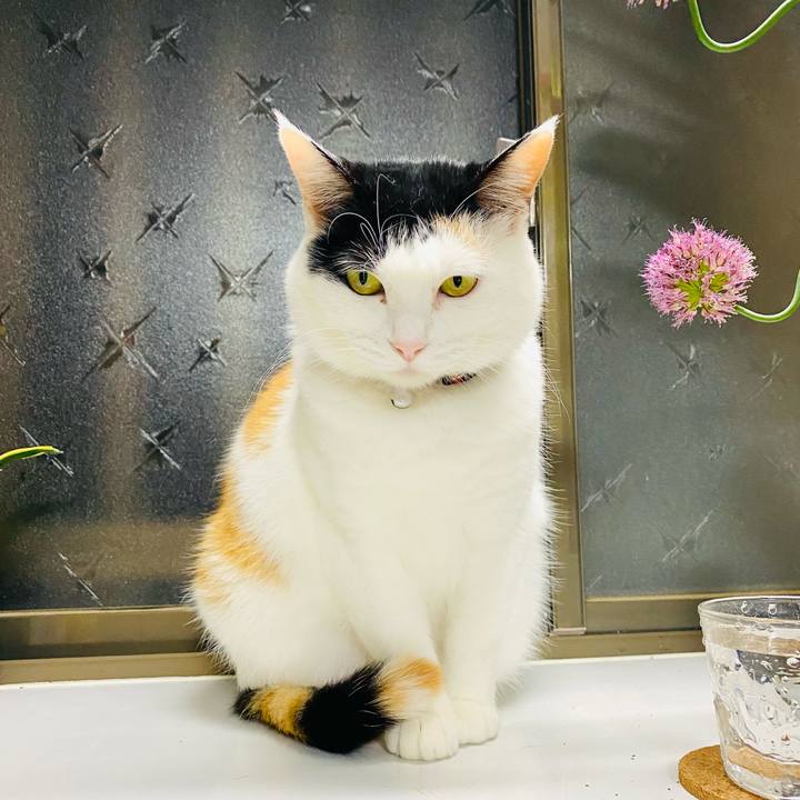 A6956709 8fc8 4bfd 9fa5 25807d6348ef 1678275890643