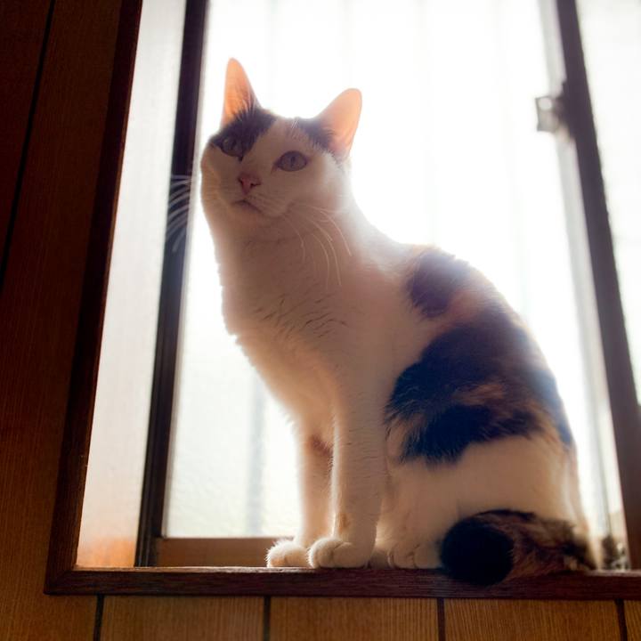 A69570d8 1f2f 434e b87b 1242d763829f 1590025201067