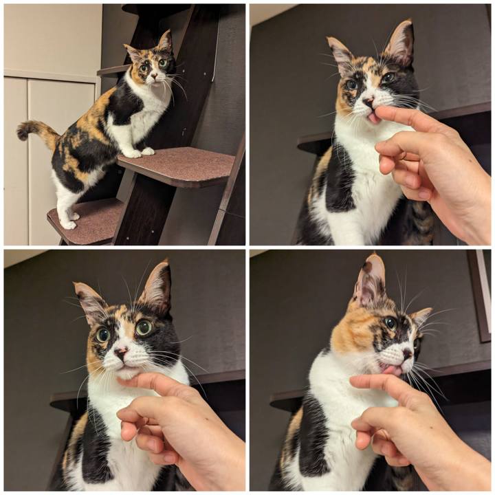 A6957b89 e1a8 4af9 b00b 486b01777d7c 1701502362666