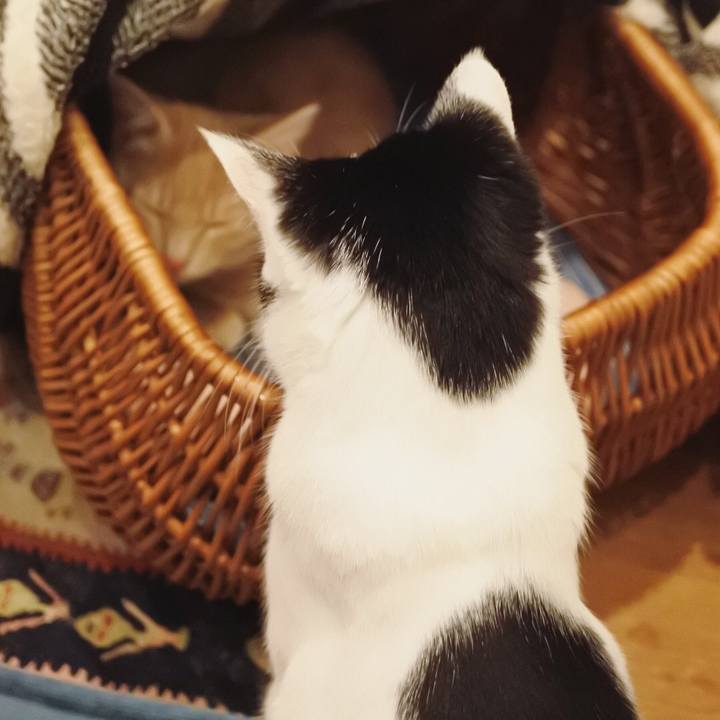 A69584bd b9a7 4eef 8d43 662c7d2f5910 1548084417874