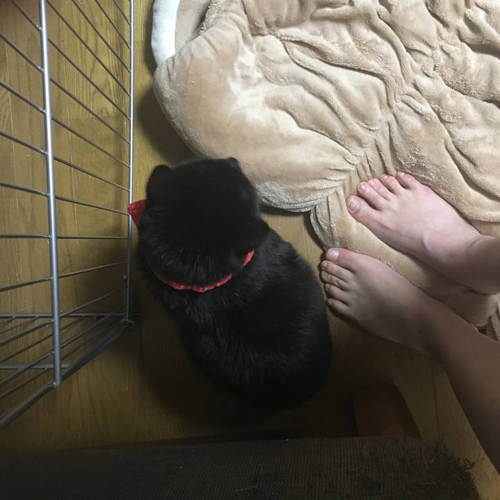 A695a6f2 a2a2 4640 95a9 24a34aea3d4d 1550413604257