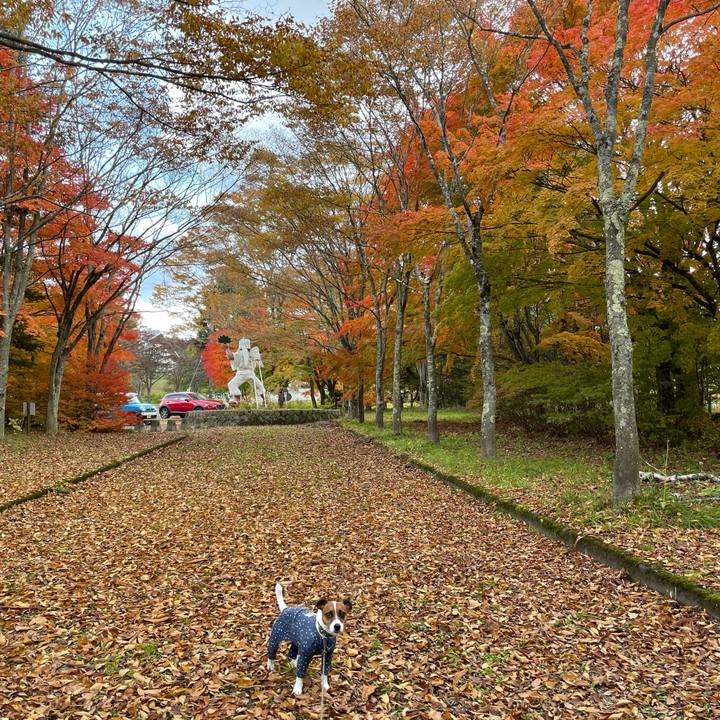 A695b536 a0ae 4fa5 aa98 b0cd74c8514e 1635842706165