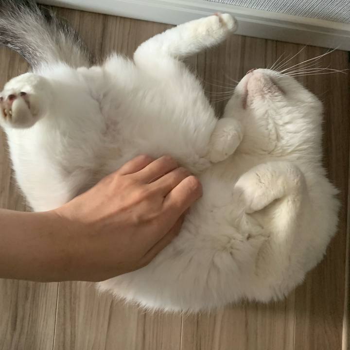 A695d798 f9e0 4bd3 a2f2 2c4b1ac4116d 1648336662330