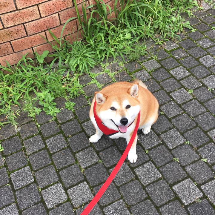 A6962f5c 9d96 4477 a960 ec8d703892b8 1594868510250