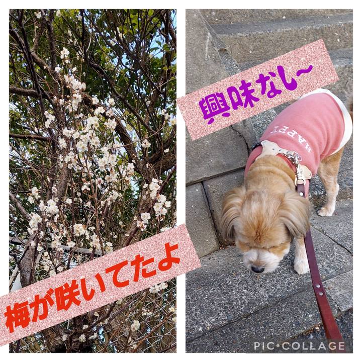 A6965e9a 4af8 44aa 8a38 bab25255aed5 1676157739058