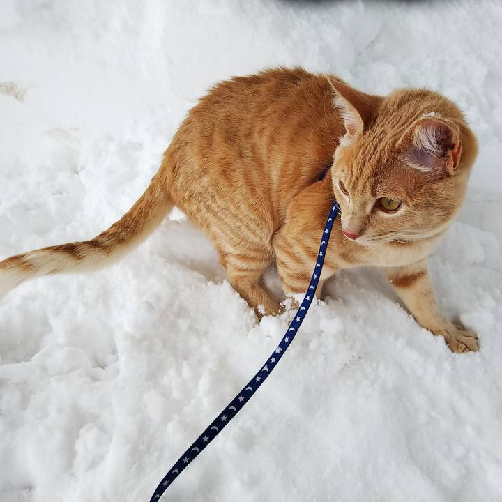 A6966b19 73a4 4161 84ff 86795b135aa4 1549766171120