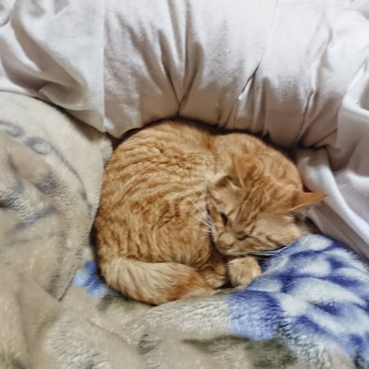 A6968166 7399 4e5d 835c a5676e7140e8 1648384383362