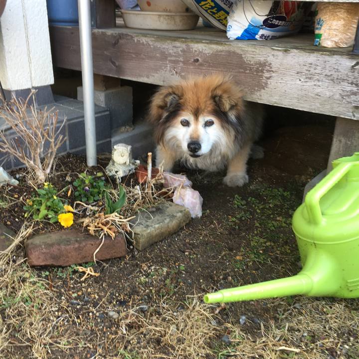 A696a813 5408 493a 8475 85031d774de3 1661689075222