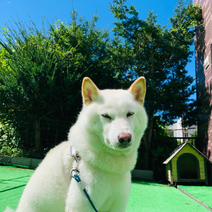 A696c6cf 4e3c 4db0 83a9 b5932b345b70 1599167005276