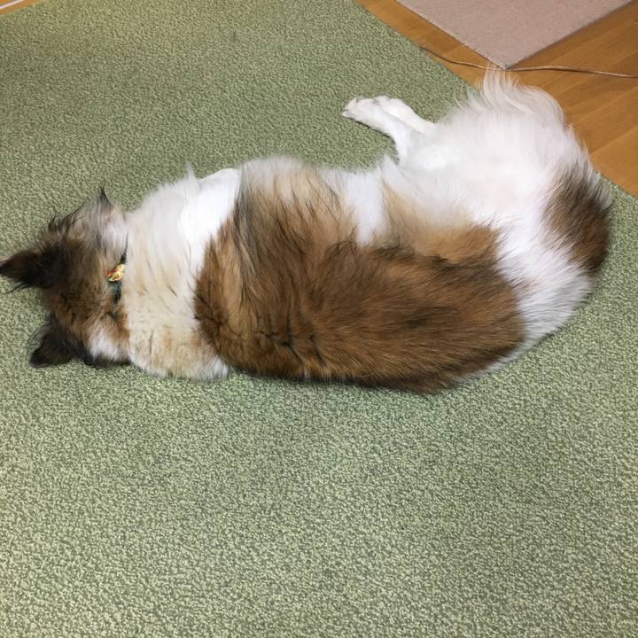 A696cf74 dfac 4a80 a392 c3845692a3d2 1512471379569