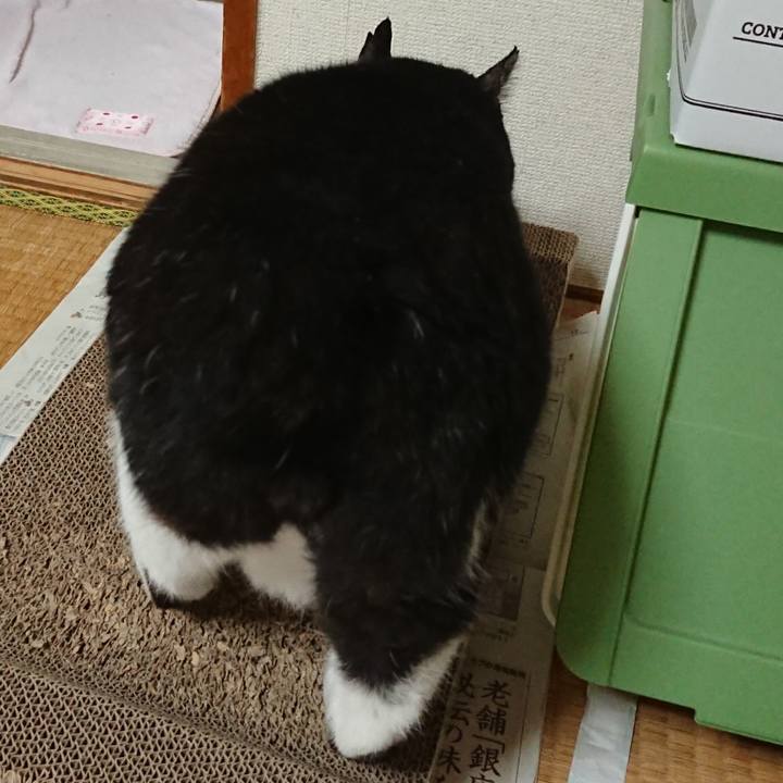 A696d93a 1ef2 4a8f 9ebb 5071be6034c7 1625010861850