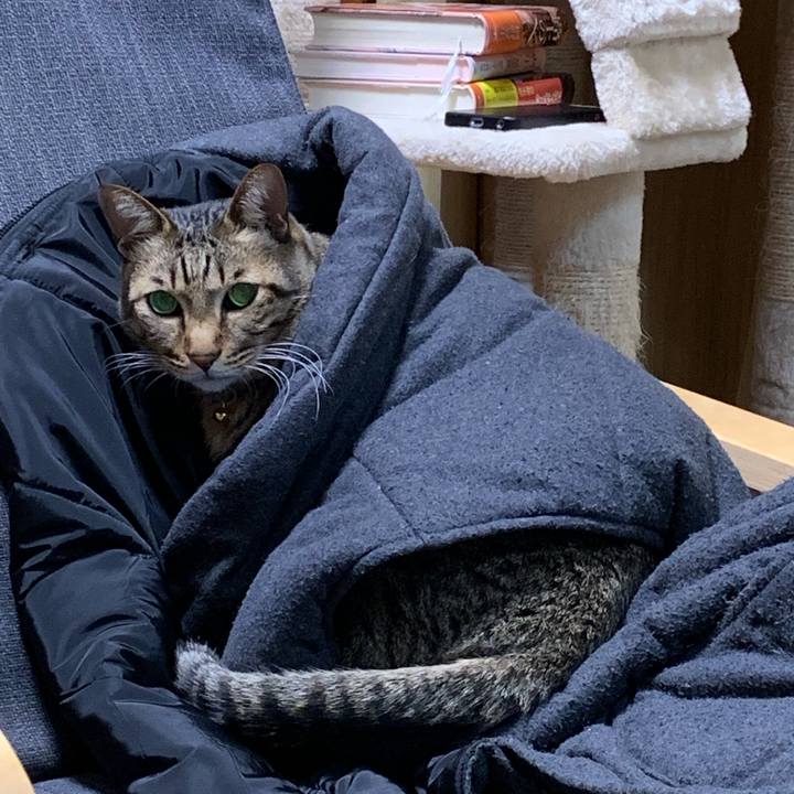 A696ecb6 428f 4a0b ad10 d50691f48433 1545231012862